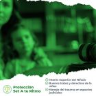 Set de Sistema judicial y protección especializada